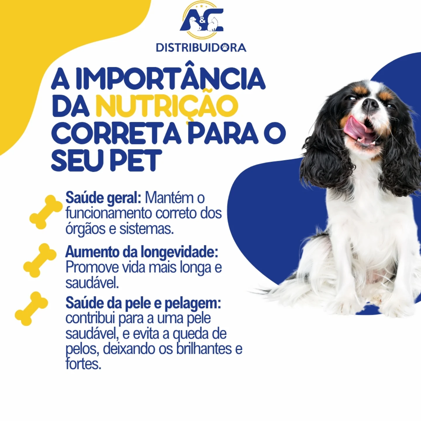 A&C Distribuidora Pet